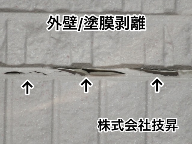 松山市外壁塗装,窯業サイディング松山市,塗装松山市,松山市塗装会社