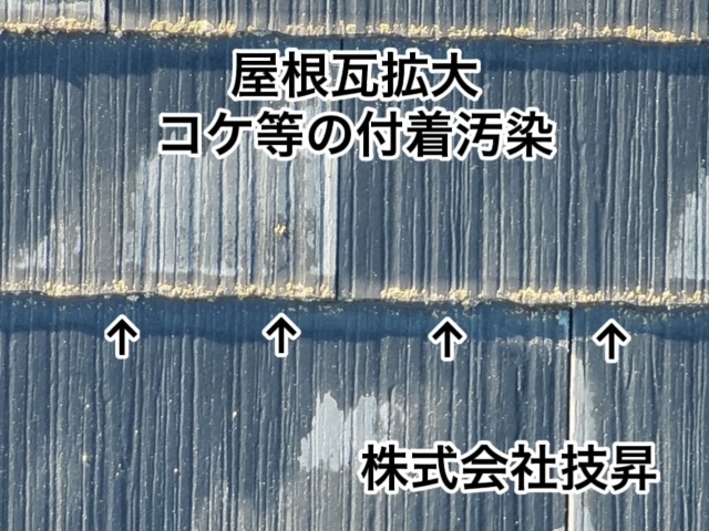 松山市外壁塗装,窯業サイディング松山市,塗装松山市,松山市塗装会社