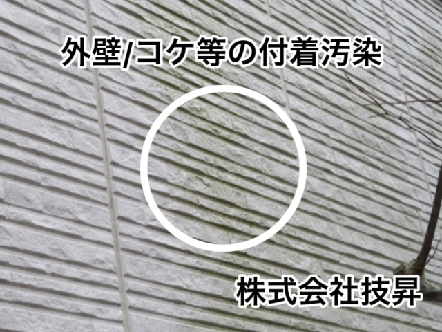 松山市外壁塗装,窯業サイディング松山市,塗装松山市,松山市塗装会社