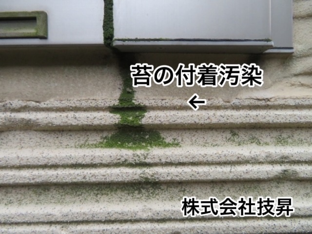 松山市外壁塗装,松山市塗装,松山市塗装会社,塗装松山市,愛媛県塗装会社