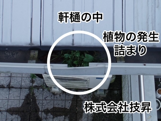 松山市外壁塗装,松山市塗装,松山市塗装会社,塗装松山市,愛媛県塗装会社