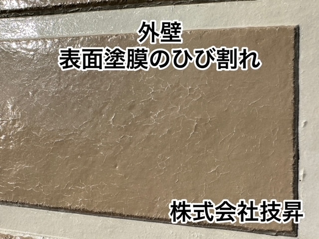 松山市外壁塗装,窯業サイディング松山市,塗装松山市,松山市塗装会社