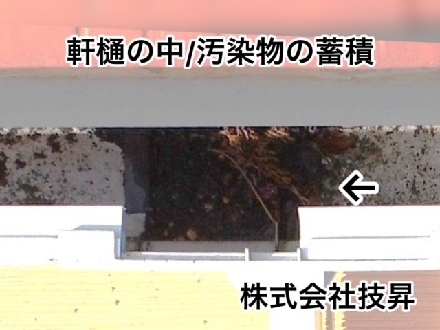 松山市外壁塗装,松山市塗装,松山市塗装会社,塗装松山市,愛媛県塗装会社