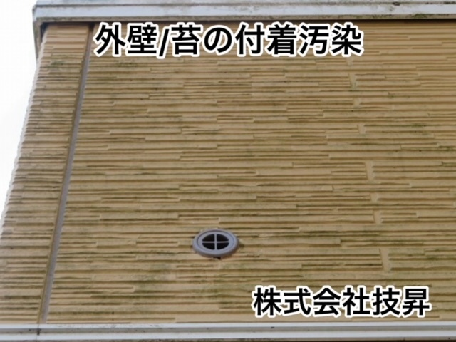 松山市外壁塗装,松山市塗装,松山市塗装会社,塗装松山市,愛媛県塗装会社