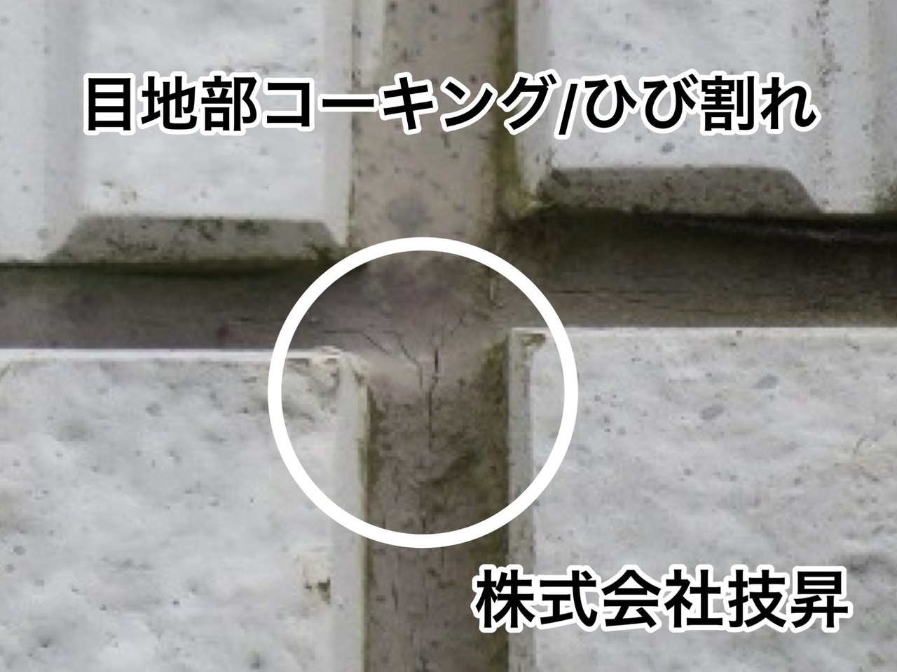 松山市外壁塗装,窯業サイディング松山市,塗装松山市,松山市塗装会社