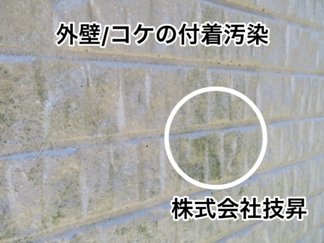松山市外壁塗装,窯業サイディング松山市,塗装松山市,松山市塗装会社
