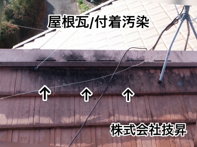 松山市外壁塗装,窯業サイディング松山市,塗装松山市,松山市塗装会社