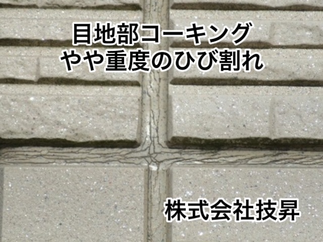 松山市外壁塗装,松山市塗装会社