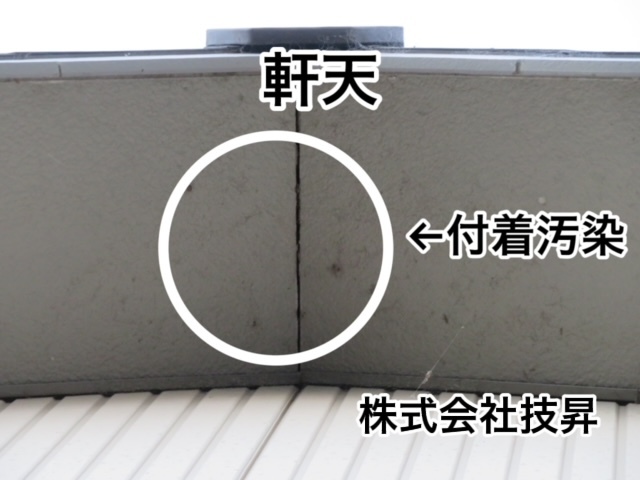 松山市外壁塗装,窯業サイディング松山市,塗装松山市,松山市塗装会社