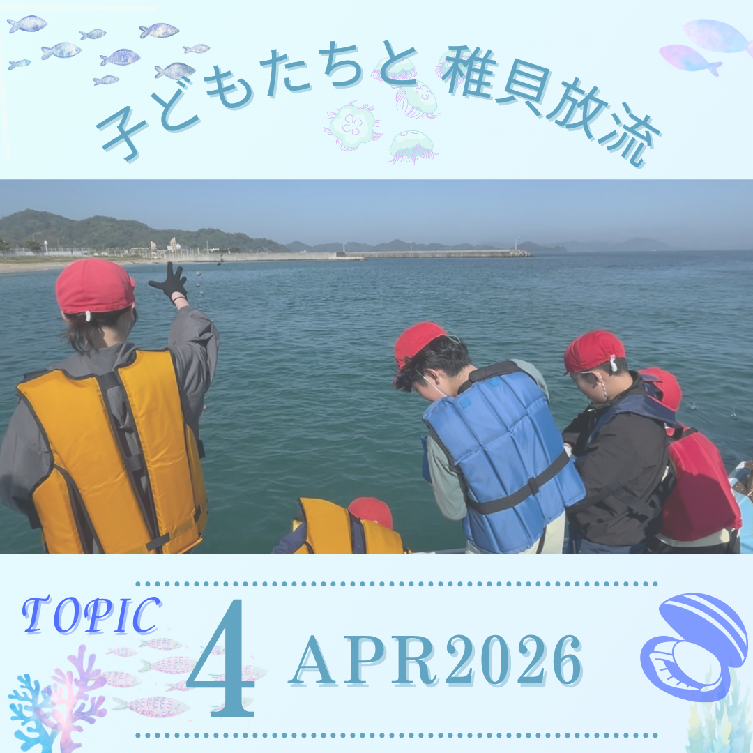 松山市外壁塗装,外壁塗装松山市