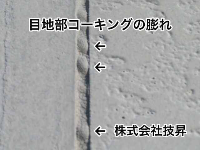 松山市外壁塗装,窯業サイディング松山市,塗装松山市,松山市塗装会社
