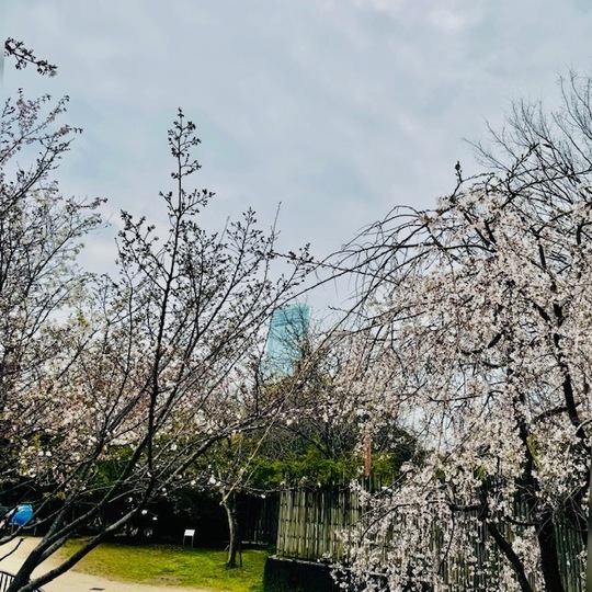 松山市外壁塗装,外壁塗装松山市